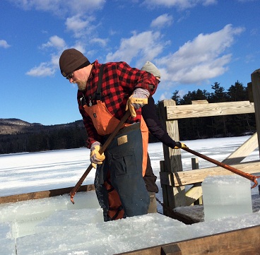 HARVESTING ICE