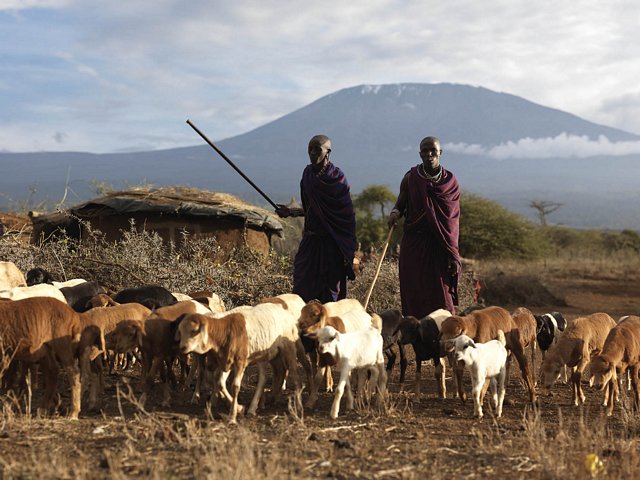 HERDERS IN KENYA 