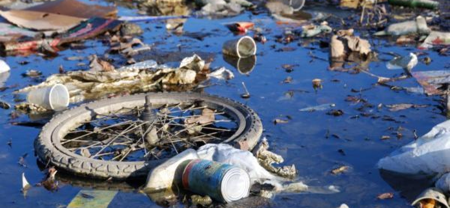 JOE’S POND JOE’S POND