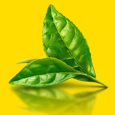 MAKING BREAKFAST 1: MAKING COFFEE/ MAKING TEA