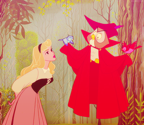 PRINCESS ROSE AND THE CREATURE PRINCESS ROSE AND THE CREATURE