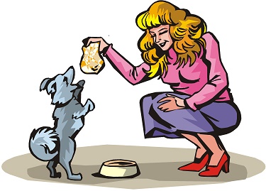 TAKE CARE OF PETS 2: TAKE CARE OF A DOG 