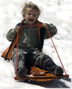 THE BOY AND HIS SLED