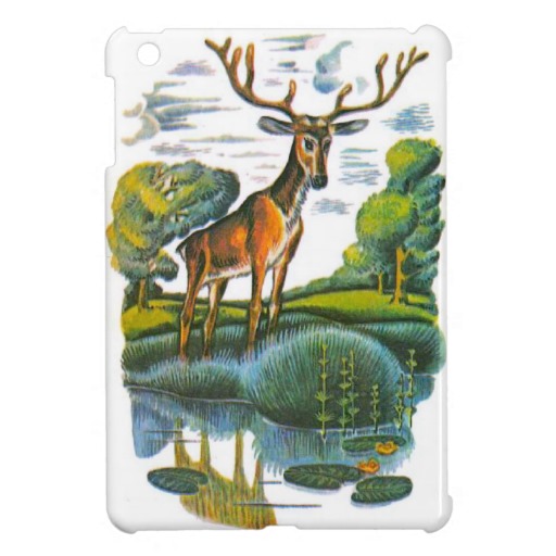 THE DEER AND HIS IMAGE THE DEER AND HIS IMAGE