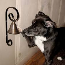 THE DOG’S BELL THE DOG’S BELL