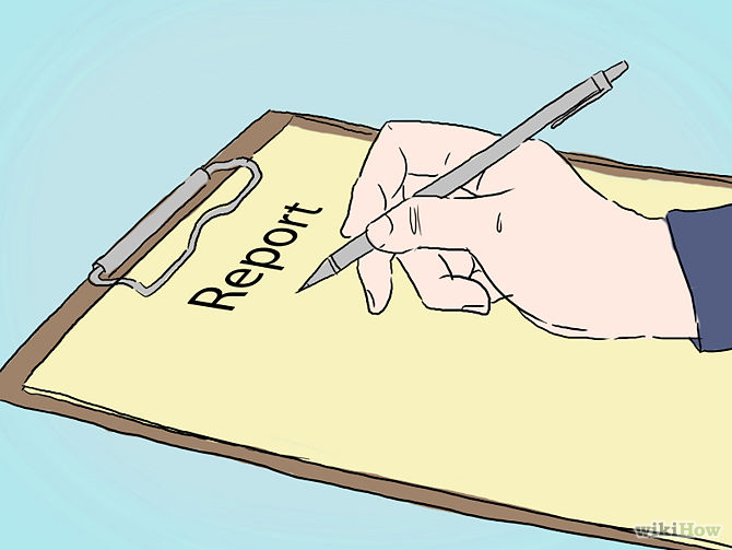 THE REPORT THE REPORT