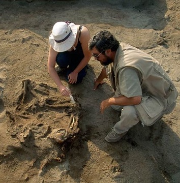 ARCHEOLOGICAL LITERATURE 1