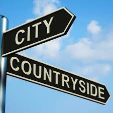 COUNTRY LIFE AND CITY LIFE (READING) COUNTRY LIFE AND CITY LIFE (READING)