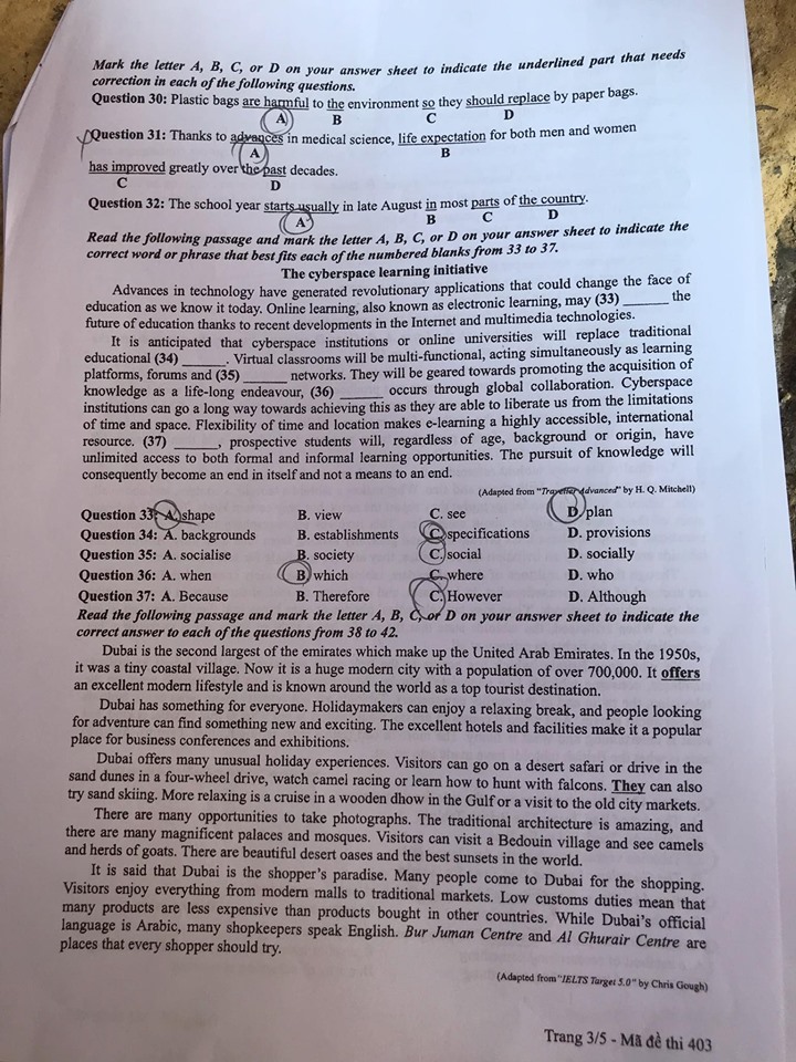 Đề thi môn tiếng Anh THPT Quốc gia 2019 mã đề 403