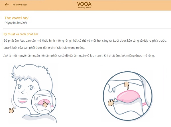 Kỹ thuật phát âm nguyên âm /æ/