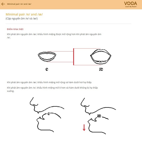 Bài so sánh nguyên âm /e/ và nguyên âm /ae/-Điểm khác nhau