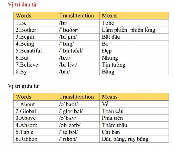 Vị trí đầu từ