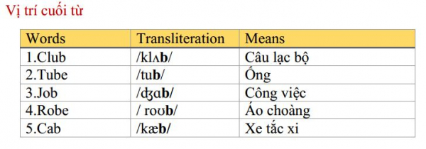 vị trí cuối từ