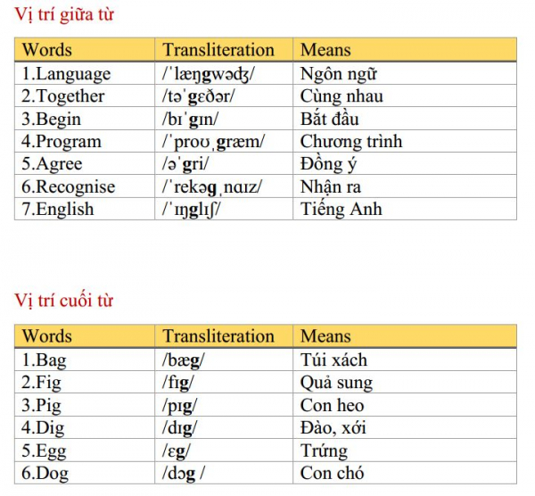 vị trí giữa từ