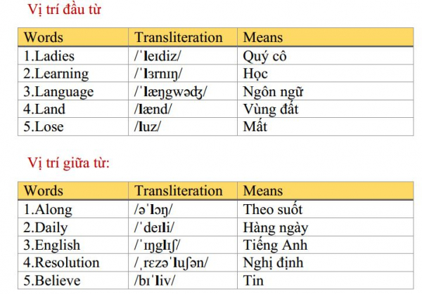 vị trí đầu từ