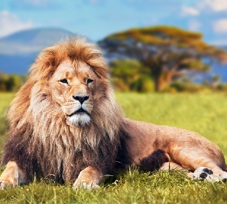 DO NOT GET TOO GREEDY