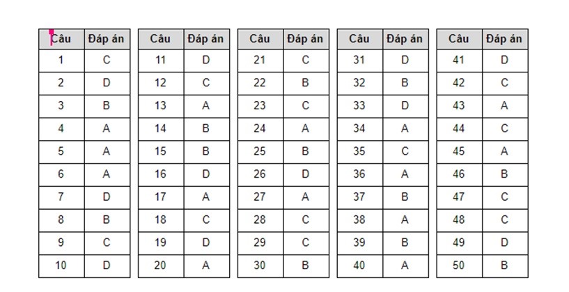 Đáp án chính thức 24 mã đề thi THPT quốc gia 2020 môn tiếng Anh
