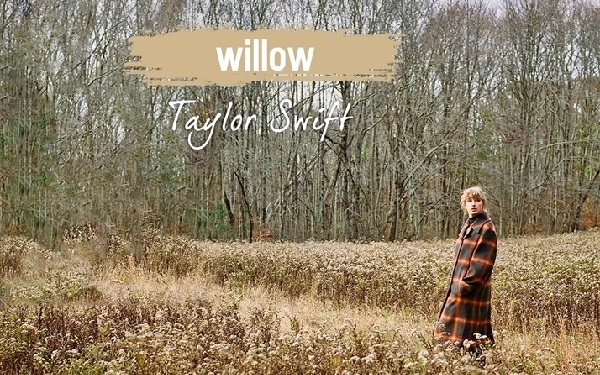 Lời dịch bài hát Willow