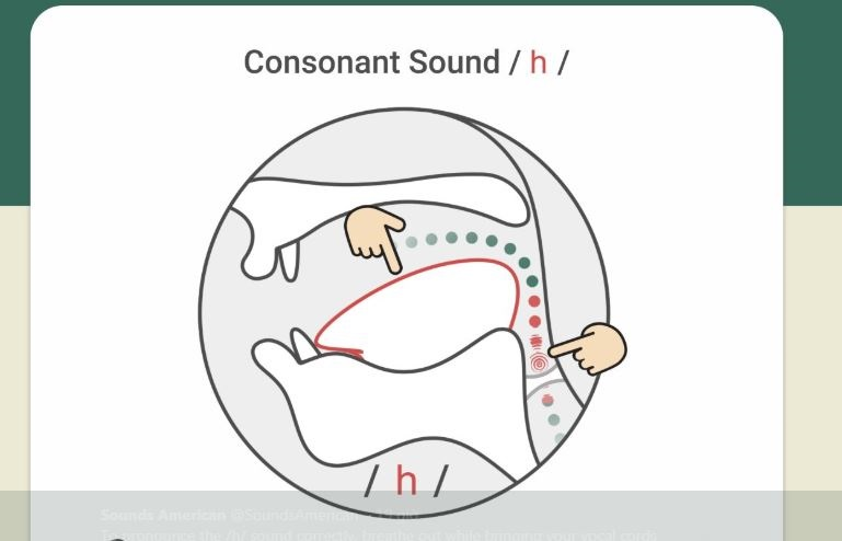 Hướng dẫn cách phát âm tiếng Anh | phụ âm /h/ | Consonants /h/