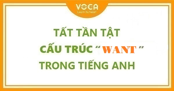 Tất tần tật cấu trúc Want trong tiếng Anh