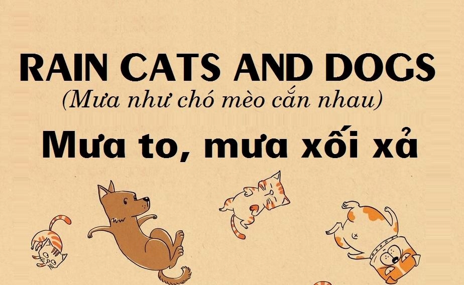 THÀNH NGỮ, TỤC NGỮ TIẾNG ANH VỀ LOÀI VẬT