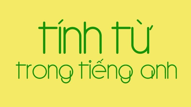 Những tính từ Tiếng Anh thông dụng và thường gặp nhất